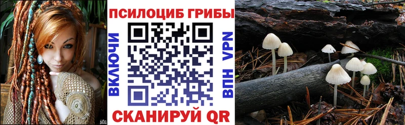 Псилоцибиновые грибы Psilocybine cubensis  Алагир 
